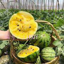 Ŀ