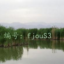 ̫