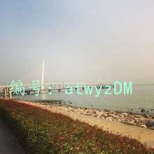 Ѷ