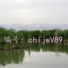 ƫ